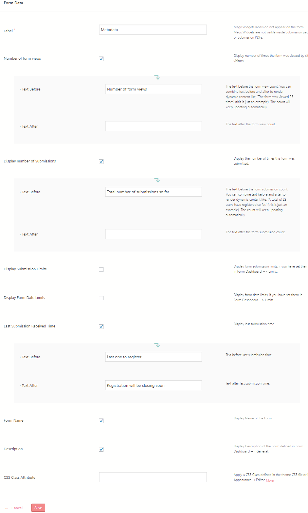 Add Metadata to WordPress Form form data settings