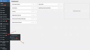 Installing RegistrationMagic