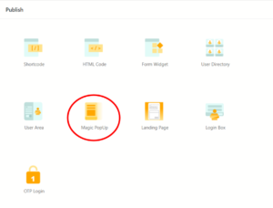 WordPress Pop Up Form publish section