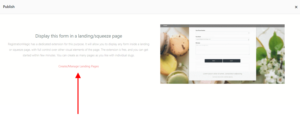 Landing Pages publish template