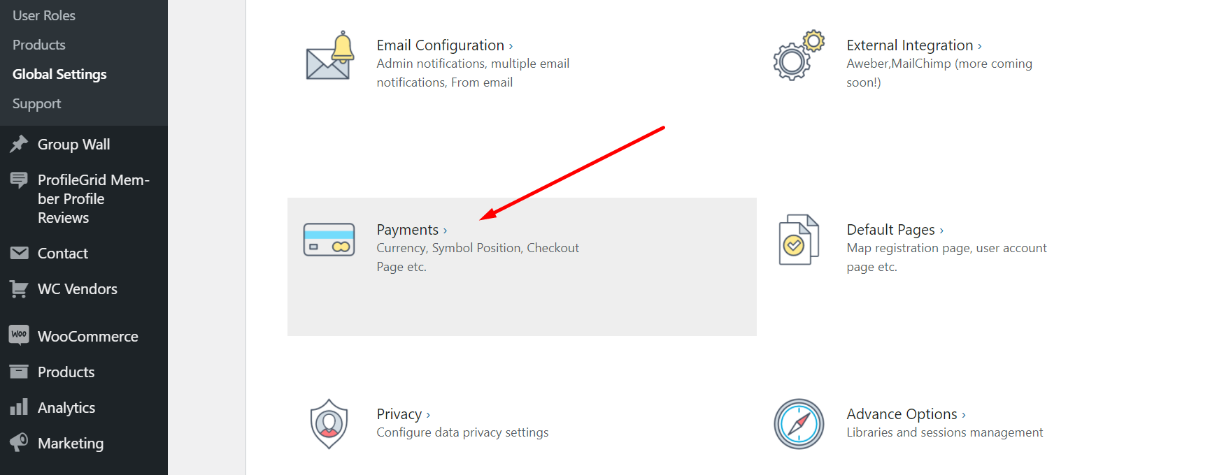 Stripe payment system