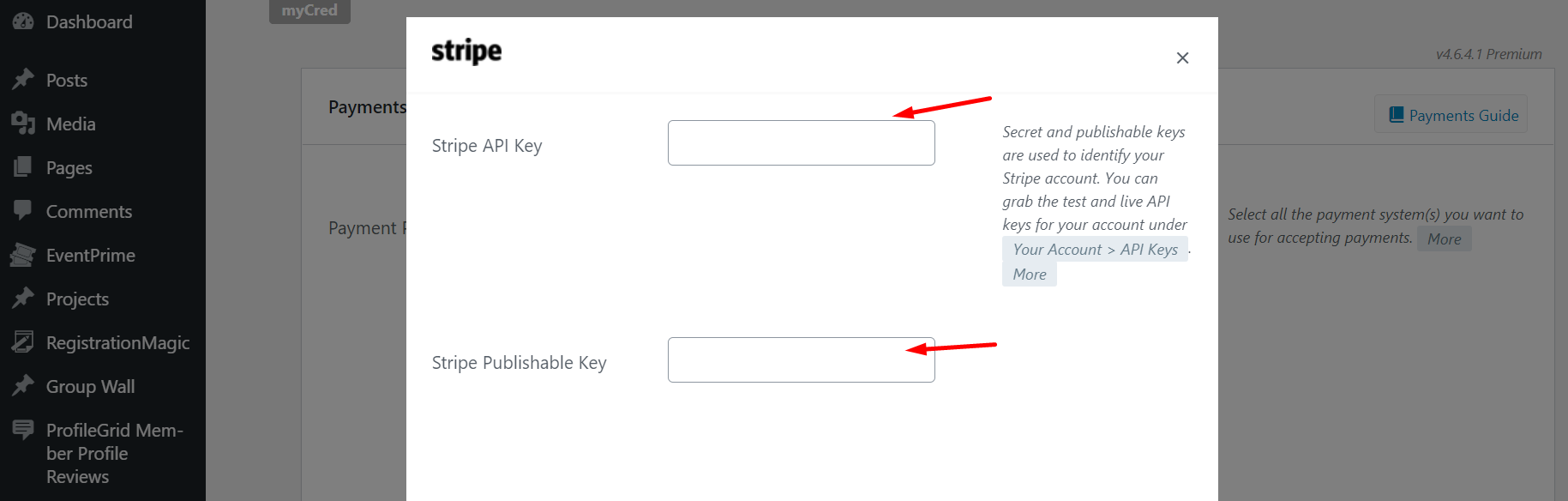 Stripe payment system