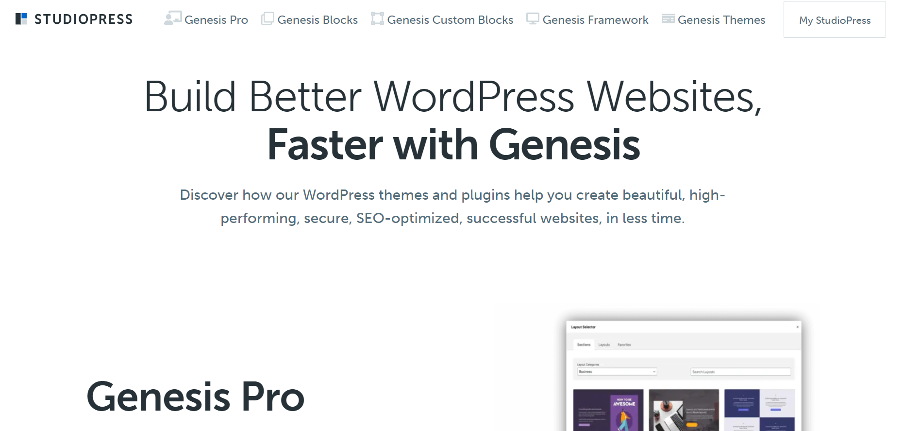 top WordPress themes