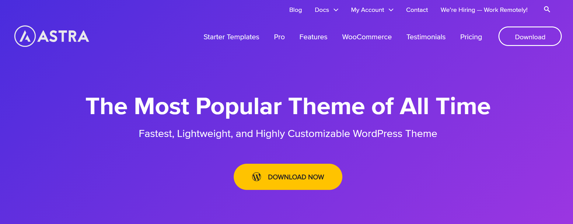 top WordPress themes